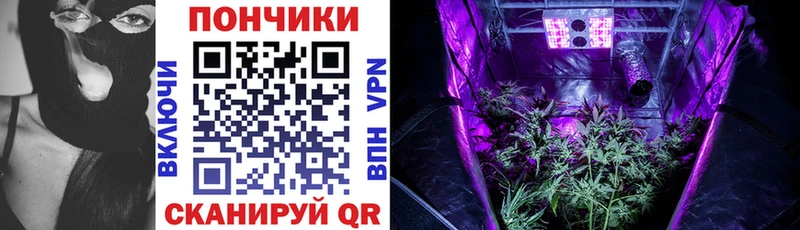 Где купить Мензелинск Бошки Шишки  Галлюциногенные грибы  Кодеин  ГАШ  Меф мяу мяу  АМФЕТАМИН  Alpha PVP 