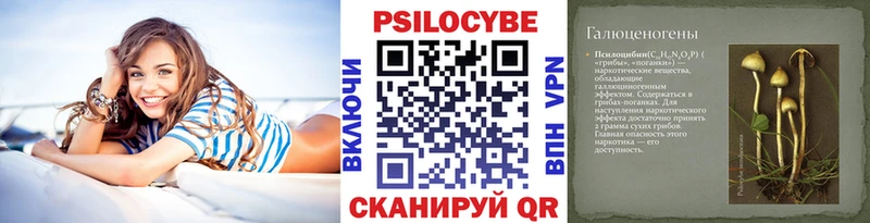 дарк нет наркотические препараты  Мензелинск  Галлюциногенные грибы GOLDEN TEACHER 